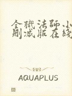 全职法师小说未删减版在线阅读