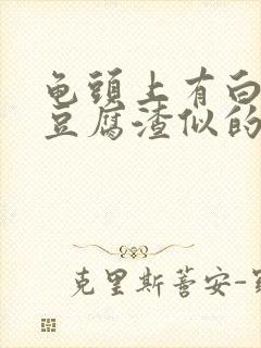 龟头上有白色的豆腐渣似的东西