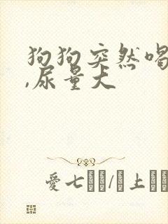 狗狗突然喝水多,尿量大