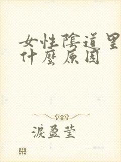 女性阴道里出血什么原因