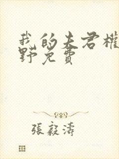 我的夫君权倾朝野免费