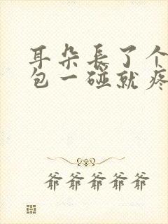 耳朵长了个小鼓包一碰就疼