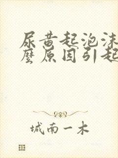 尿黄起泡沫是什么原因引起的