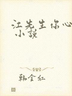 江先生你心动了 小说