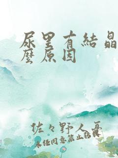 尿里有结晶是什么原因