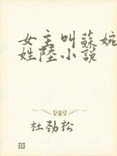 女主叫苏婉男主姓陆小说