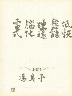 电脑硬盘低级格式化还能恢复数据吗