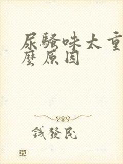 尿骚味太重有什么原因