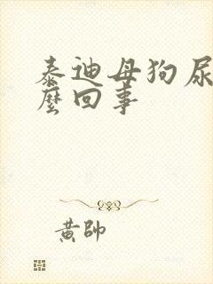 泰迪母狗尿血怎么回事