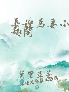 长嫂为妻小说笔趣阁