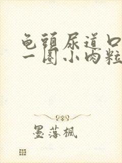 龟头尿道口长了一圈小肉粒子