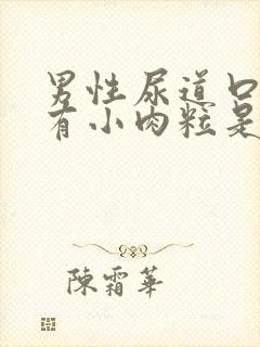 男性尿道口里面有小肉粒是咋回事