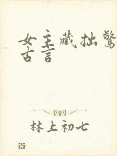 女主藏拙惊艳的古言