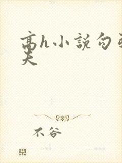 高h小说勾引姐夫