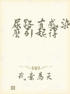 尿路有感染是怎么引起得