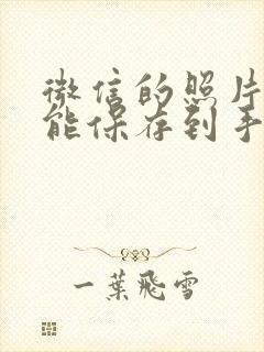 微信的照片怎么能保存到手机相册里