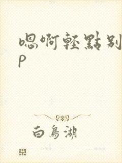 嗯啊轻点别浪np