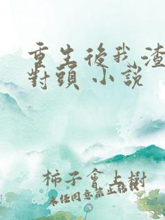 重生后我渣了死对头 小说