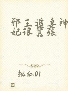 邪王追妻神医狂妃很嚣张