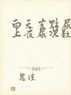 白天有点尿频晚上夜尿次数多