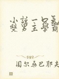 小说一口气看完双男主学霸×校霸