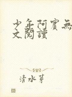 少年阿宾无删全文阅读