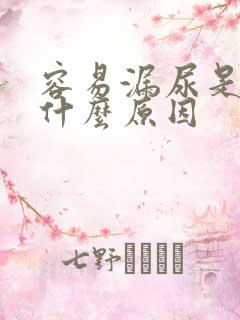 容易漏尿是怎么什么原因