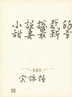 小说总裁的失忆甜妻最新章节