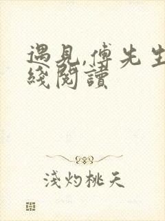 遇见,傅先生在线阅读