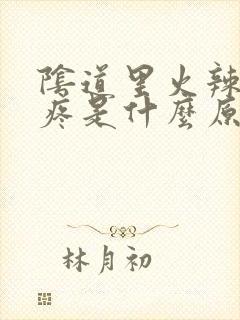 阴道里火辣辣的疼是什么原因