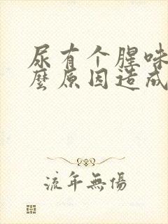 尿有个腥味是什么原因造成的