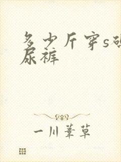 多少斤穿s码纸尿裤