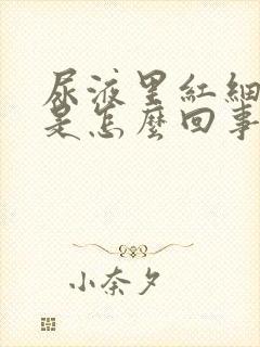 尿液里红细胞高是怎么回事