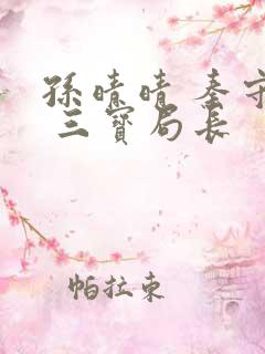 孙晴晴 秦守仁 三宝局长