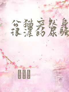 公猫突然身上有很浓的尿骚味