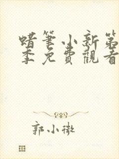 蜡笔小新第十一季免费观看中文版全集