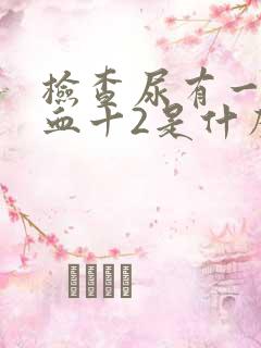 检查尿有一项隐血十2是什么意思?