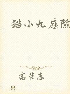 猫小九历险记.