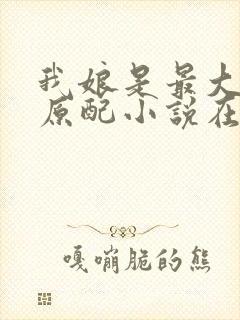 我娘是最大方的原配小说在线阅读