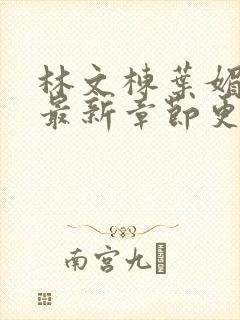 林文栋叶媚小说最新章节更新免费阅读