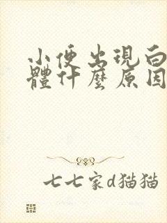 小便出现白色液体什么原因