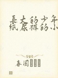 长大的少年总穿纸尿裤的小说