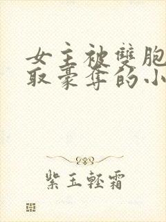 女主被双胞胎强取豪夺的小说