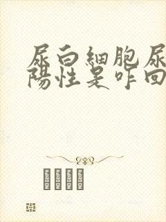 尿白细胞尿潜血阳性是咋回事