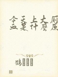 今天上大厕拉出血是什么原因