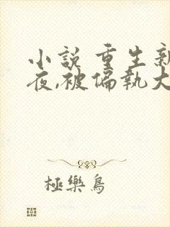 小说 重生新婚夜,被偏执大佬亲疯了