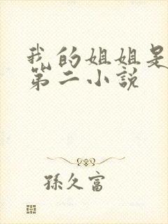 我的姐姐是天下第二小说