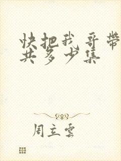 快把我哥带走一共多少集