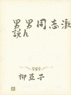 男男同志激情小说h