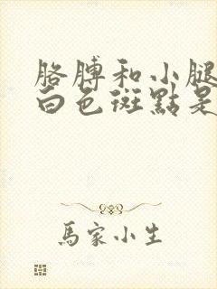 胳膊和小腿上长白色斑点是什么原因